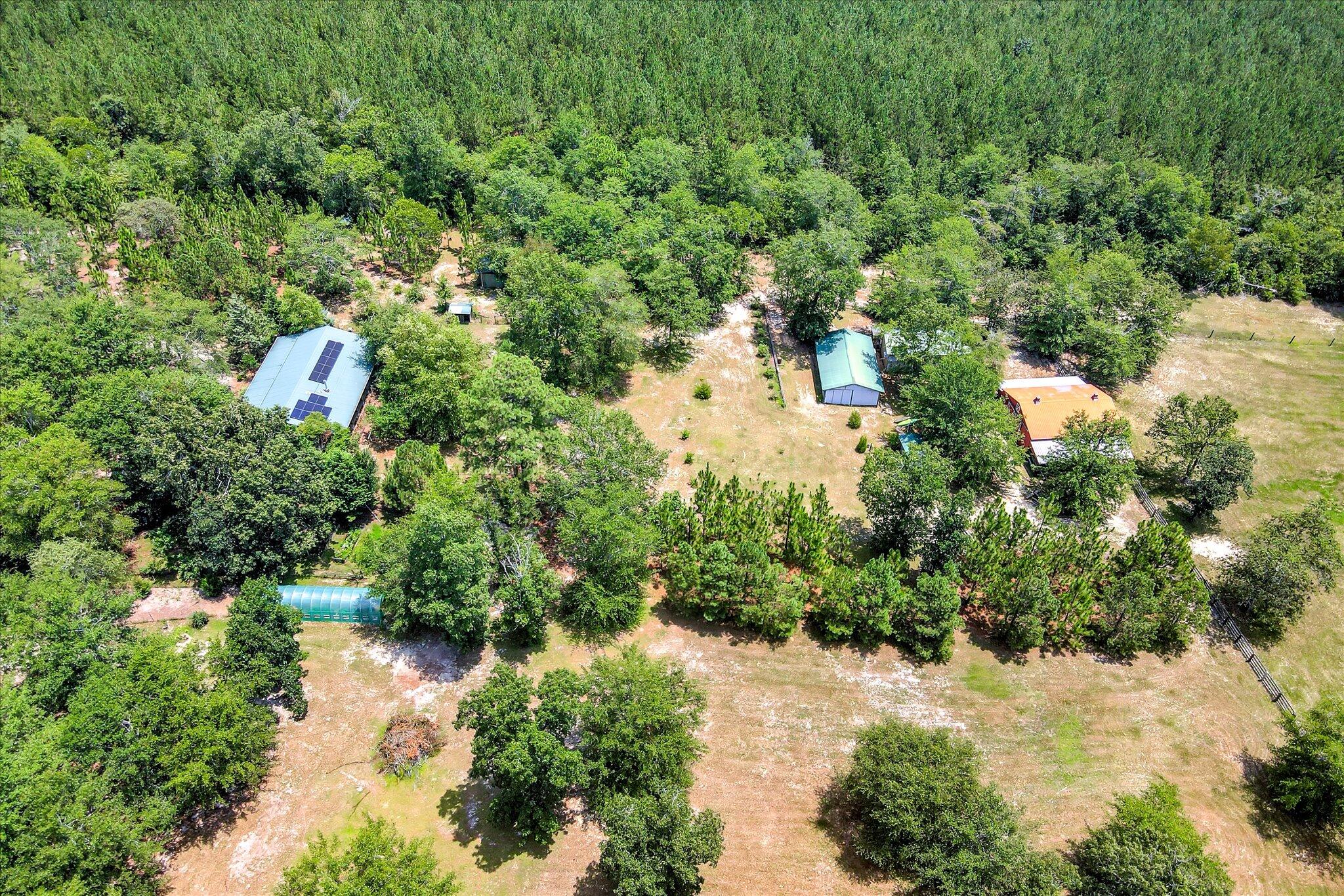 4820 Columbia Highway North Ridge Spring, SC 29129 - Photo 2 of 69