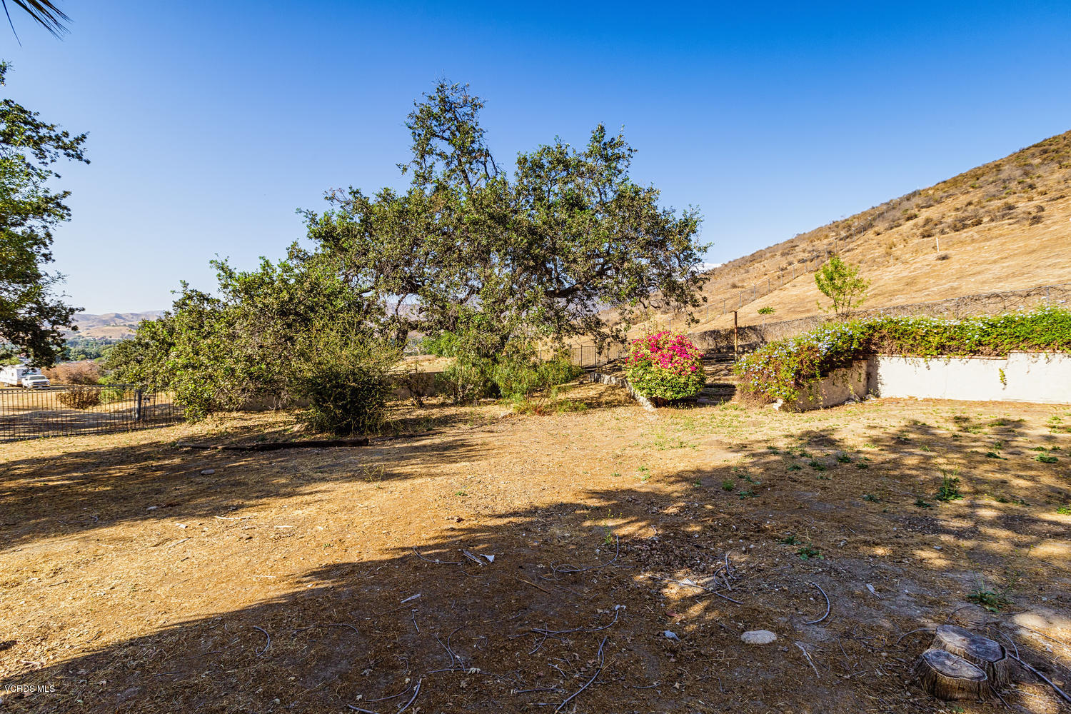 5829 Oak Knolls Road Simi Valley, CA 93063 - Photo 26 of 33 a view of dirt yard with a large tree