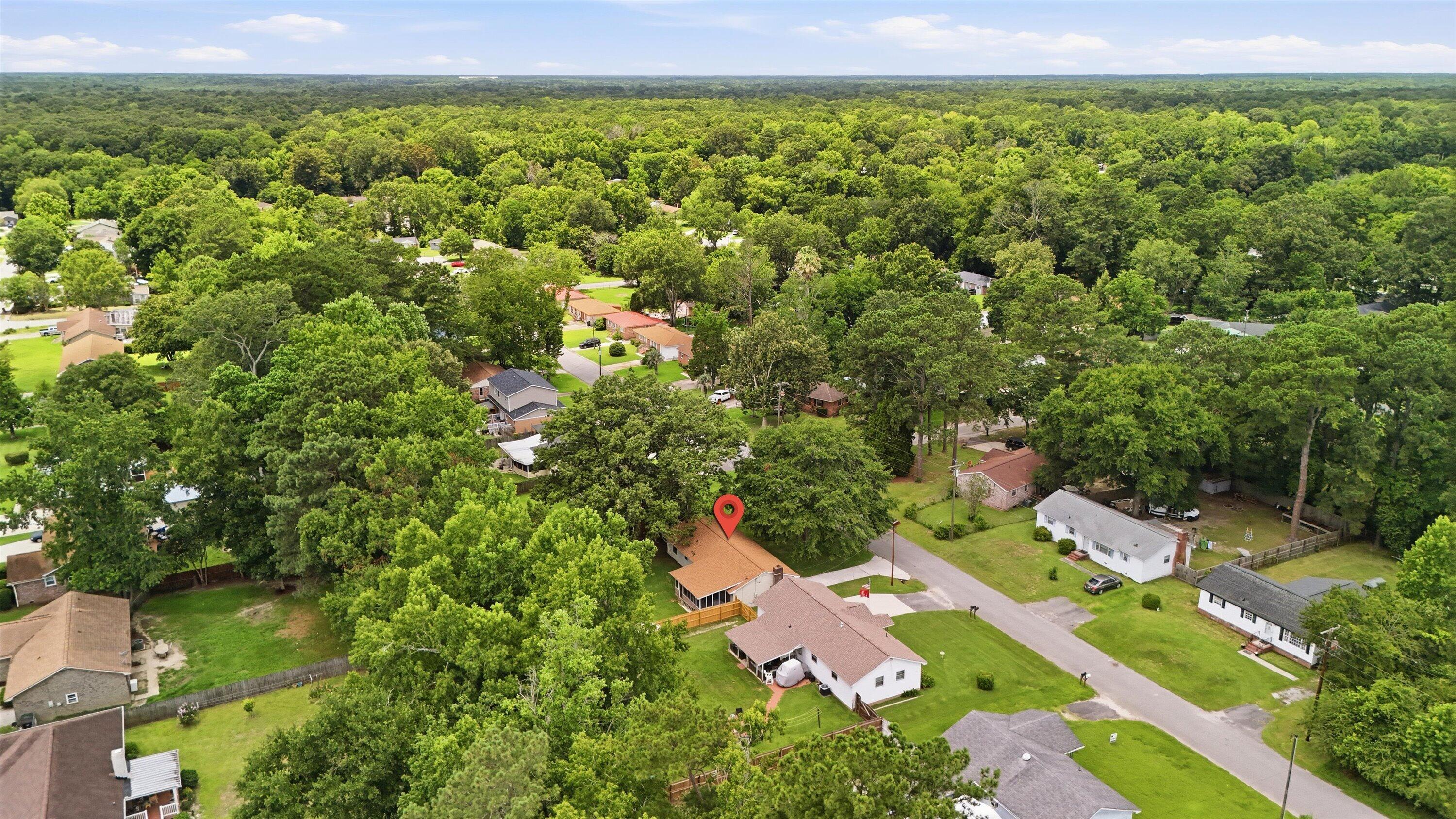 227 Farm Road Goose Creek, SC 29445 - Photo 34 of 36 aeriel view