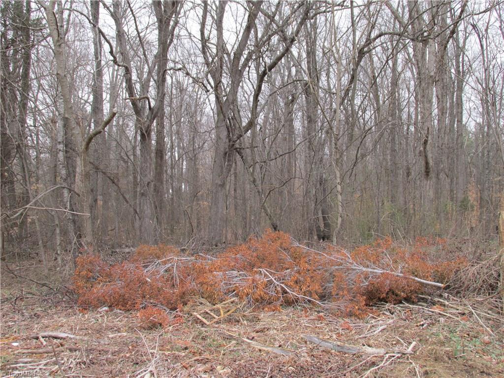 1225 Reedy Creek Road Lexington, NC 27295 - Photo 29 of 29 Gallery Image 29