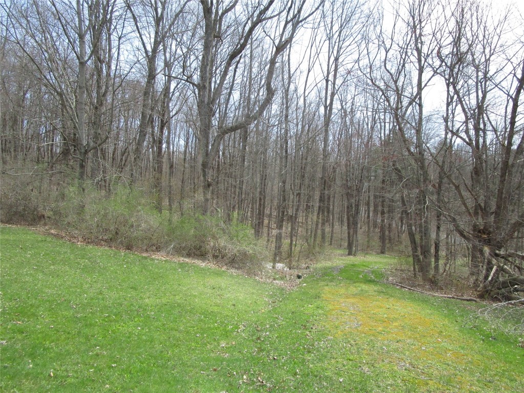 347 Stumptown Road Afton, NY 13730 - Photo 23 of 39 Gallery Image 23