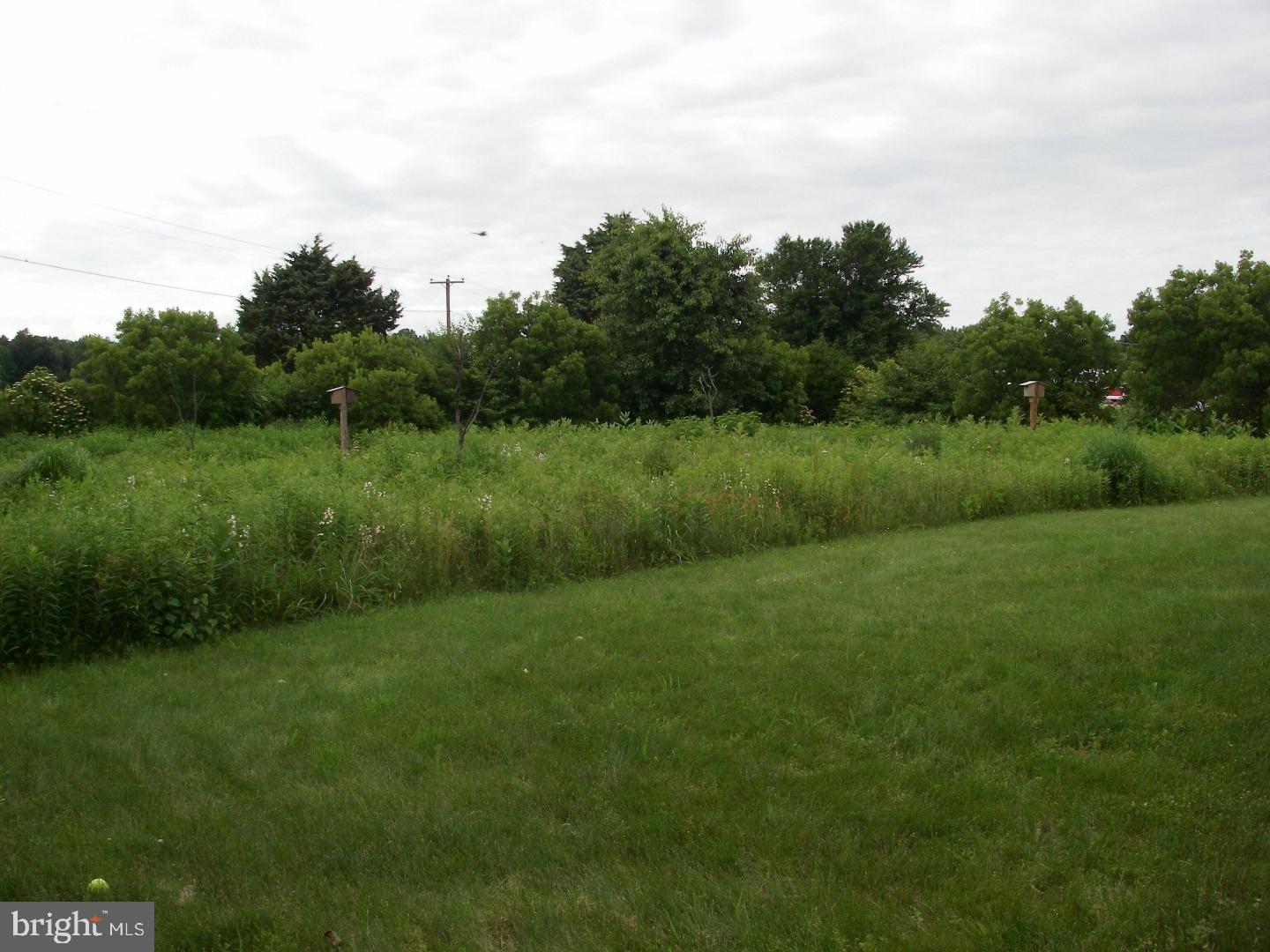 1291 Fords Corner Road Hartly, DE 19953 - Photo 6 of 19 Back Yard