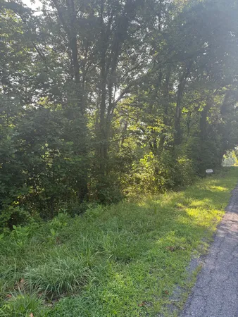 $49,625 | 0 Oak Ridge Road, Buchanan, VA 24066