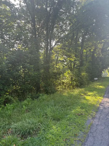 a view of a yard with a tree