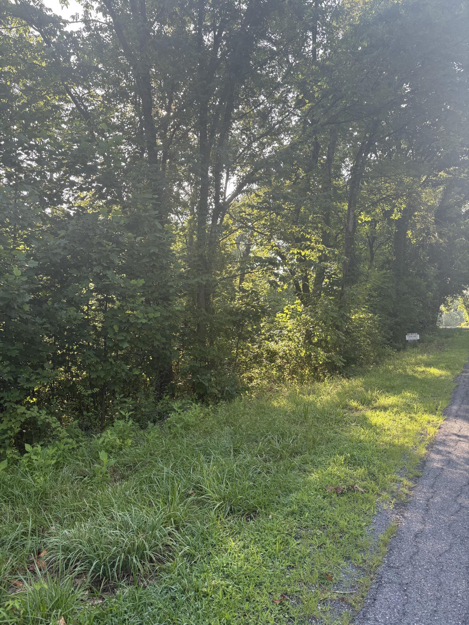 0 Oak Ridge Road Buchanan, VA 24066 - Photo 1 of 8 a view of a yard with a tree