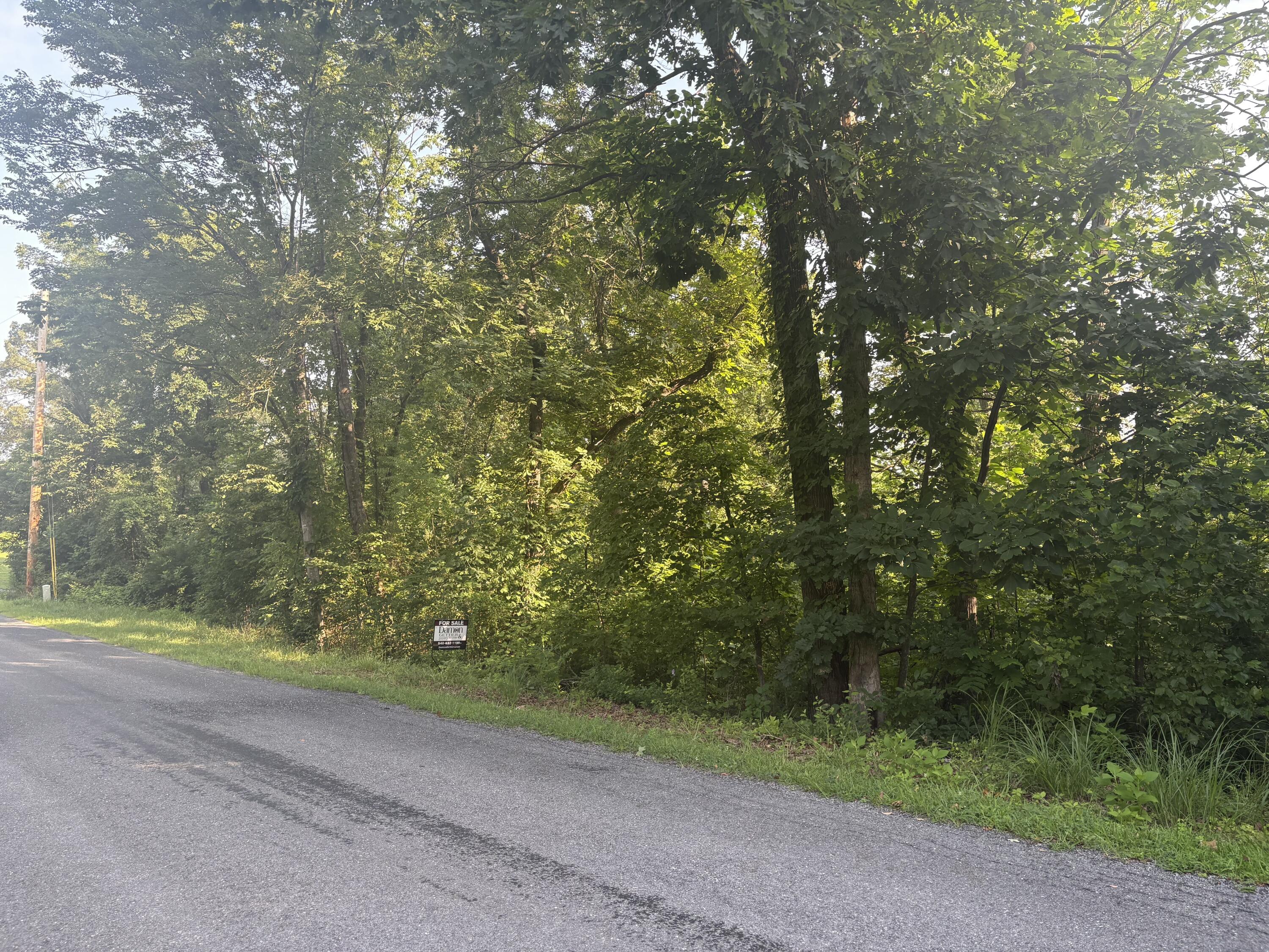 0 Oak Ridge Road Buchanan, VA 24066 - Photo 2 of 8 a view of a yard with plants and large trees