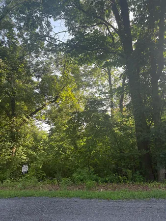 $49,600 | 0 Oak Ridge Road, Buchanan, VA 24066