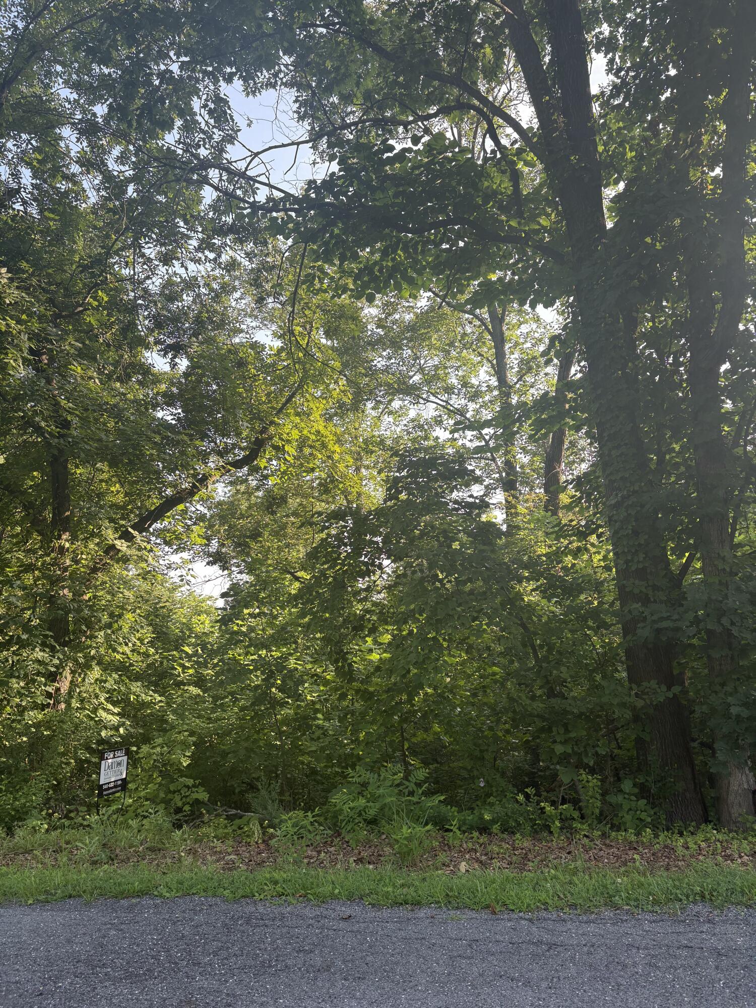 0 Oak Ridge Road Buchanan, VA 24066 - Photo 3 of 8 a backyard of a house