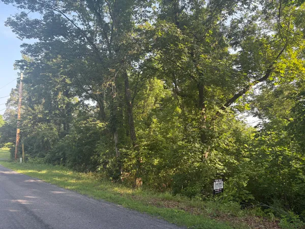 $49,600 | 0 Oak Ridge Road, Buchanan, VA 24066