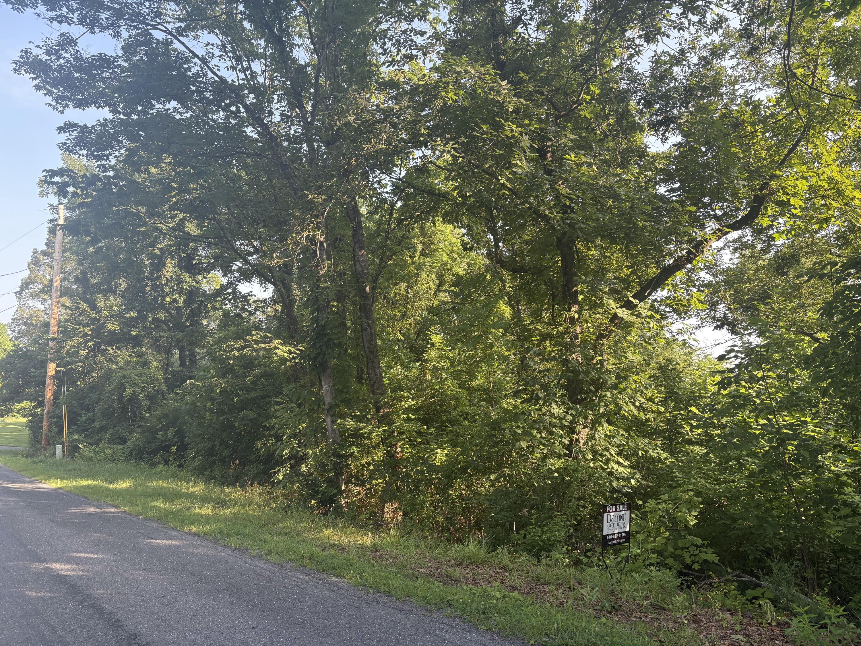 0 Oak Ridge Road Buchanan, VA 24066 - Photo 4 of 8 a view of outdoor space and yard