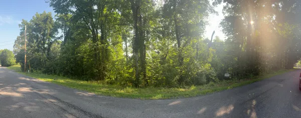 $49,600 | 0 Oak Ridge Road, Buchanan, VA 24066