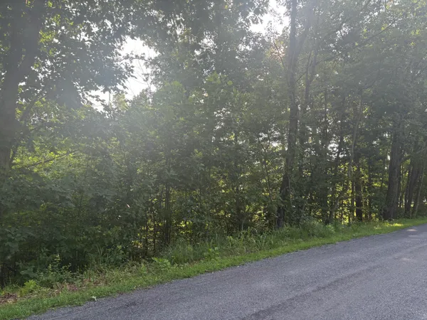 $49,600 | 0 Oak Ridge Road, Buchanan, VA 24066