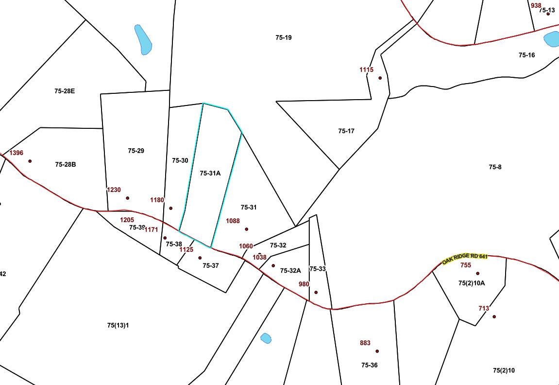 0 Oak Ridge Road Buchanan, VA 24066 - Photo 8 of 8