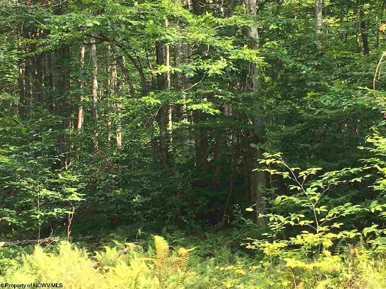 1308 Sand Run Road Davis, WV 26260 - Photo 7 of 30 Gallery Image 7