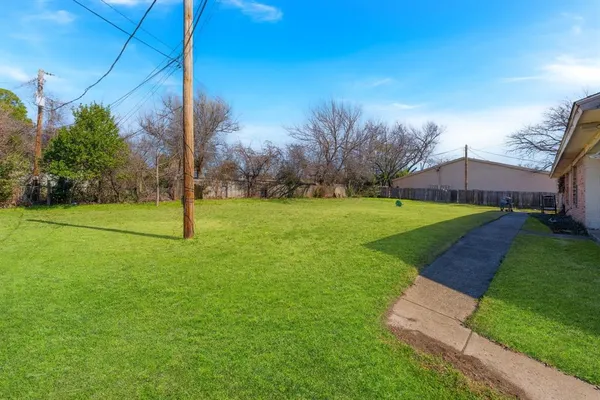 a view of a field with a tree in the background