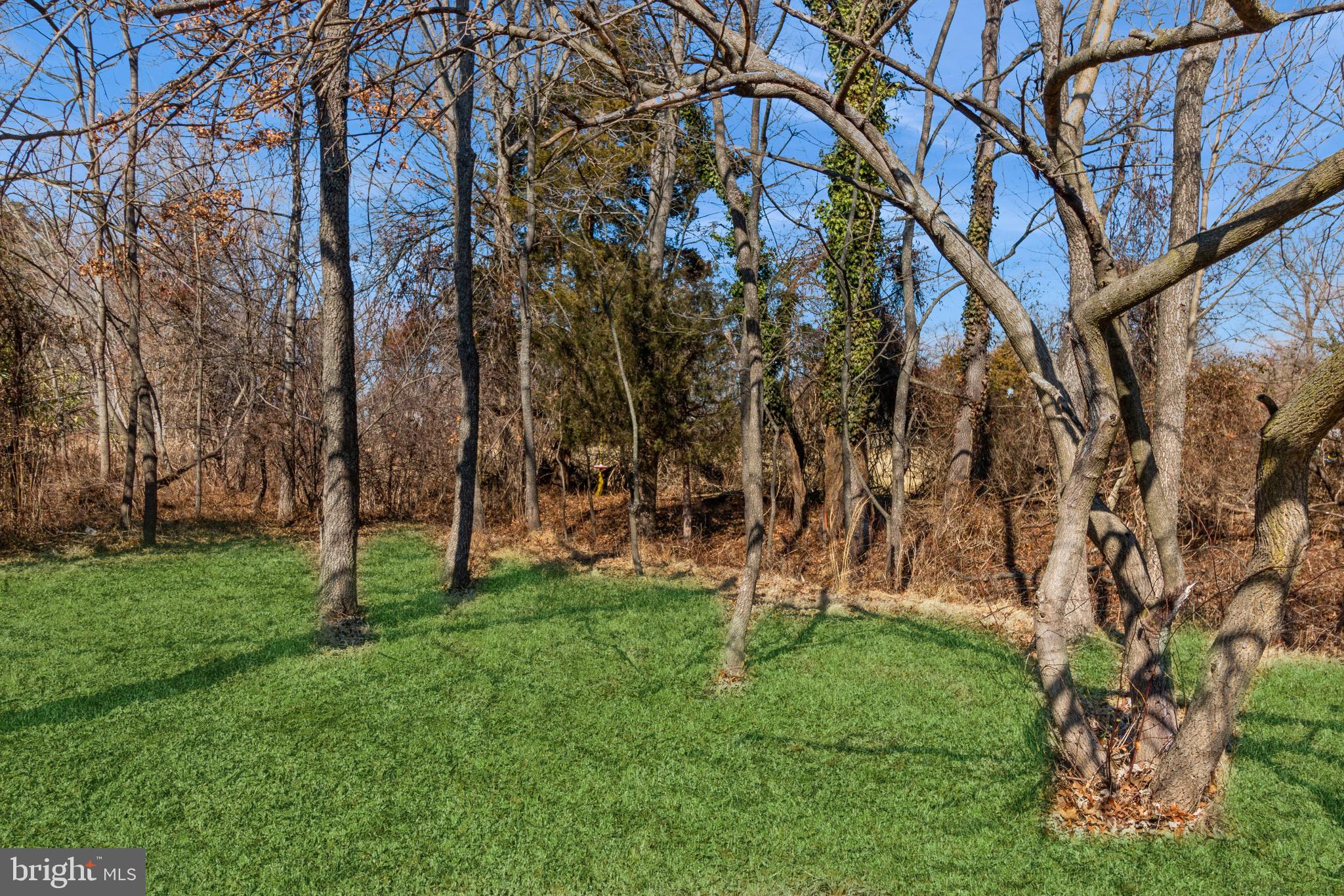 541 Hereford Lane Mickleton, NJ 08056 - Photo 25 of 25 Beautiful 1+ acres lot
