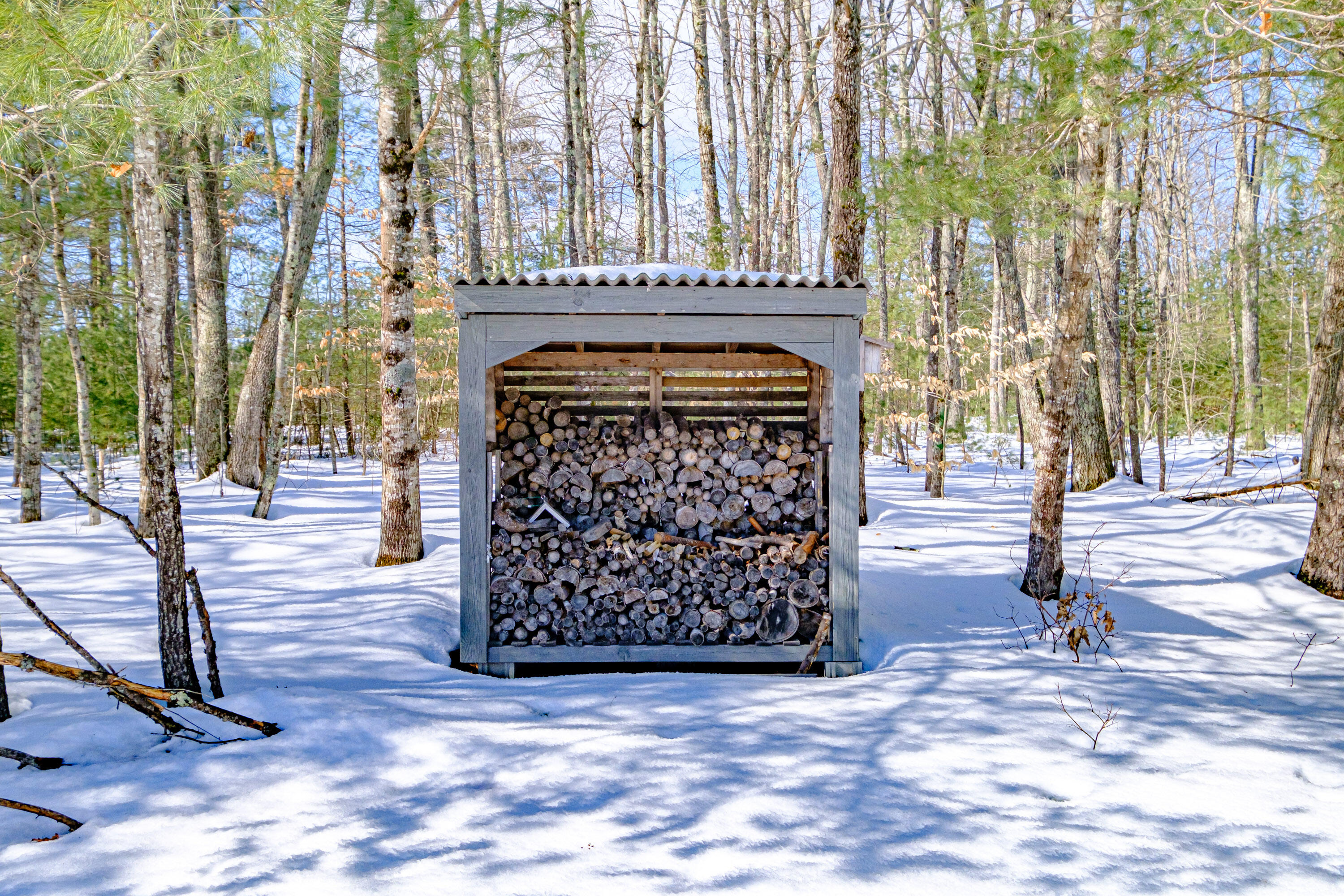 36 Mill Road Buxton, ME 04093 - Photo 33 of 42 20250228gp-62075