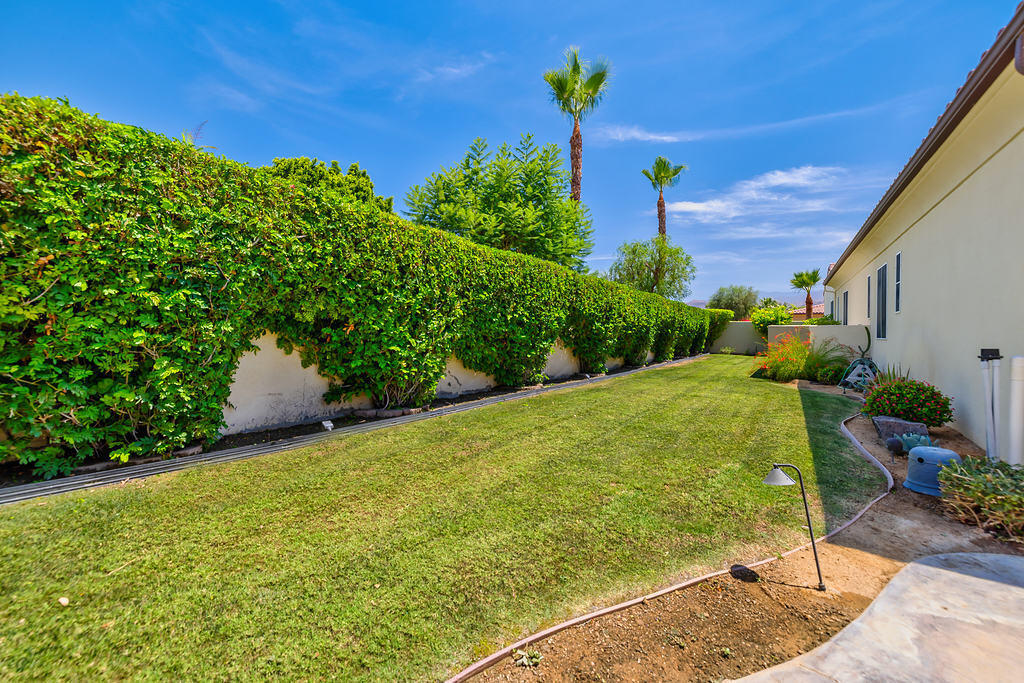 35202 Vista Del Monte Rancho Mirage, CA 92270 - Photo 34 of 35 a view of a garden with plants