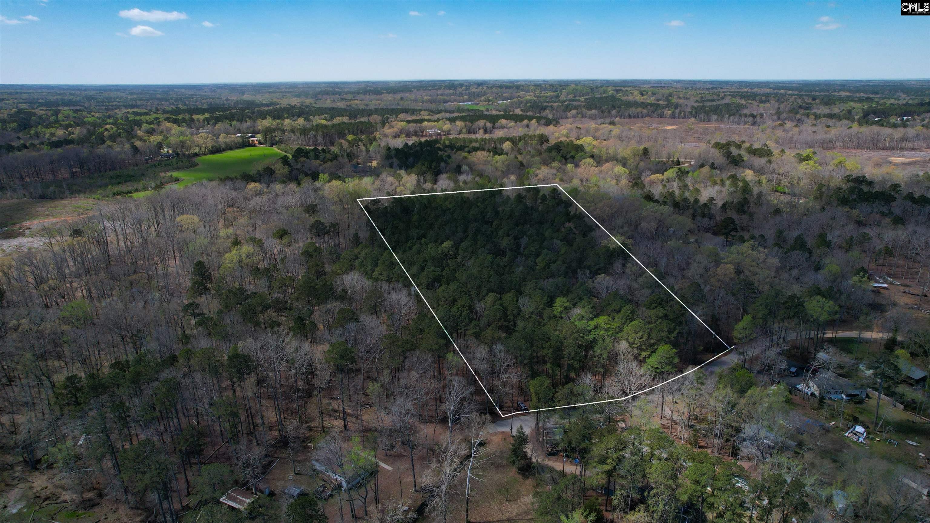 650 Horse Creek Road Leesville, SC 29070 - Photo 10 of 10