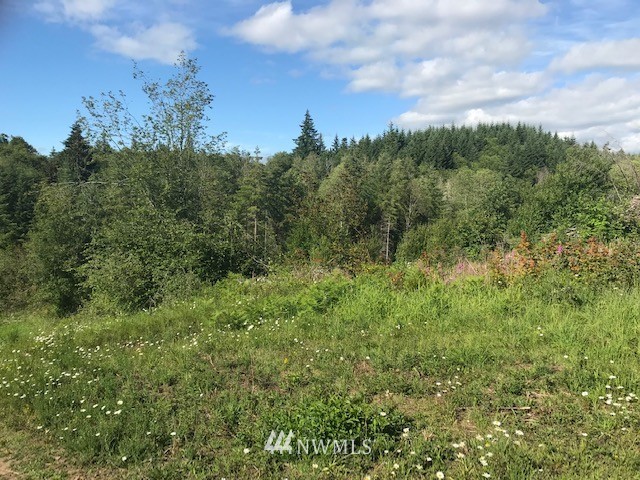 000 Mountain Sun Road Chehalis, WA 98532 - Photo 4 of 14