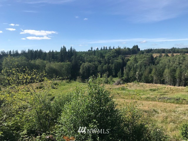 000 Mountain Sun Road Chehalis, WA 98532 - Photo 5 of 14