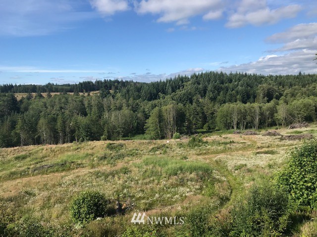 000 Mountain Sun Road Chehalis, WA 98532 - Photo 6 of 14