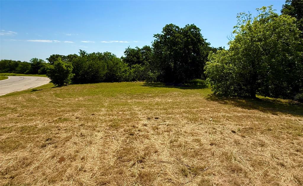 6801 Lindale Road Kennedale, TX 76140 - Photo 6 of 7 a view of outdoor space and yard