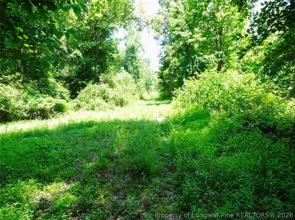 0 Gilbert Road Eastover, NC 28312 - Photo 2 of 5 street view