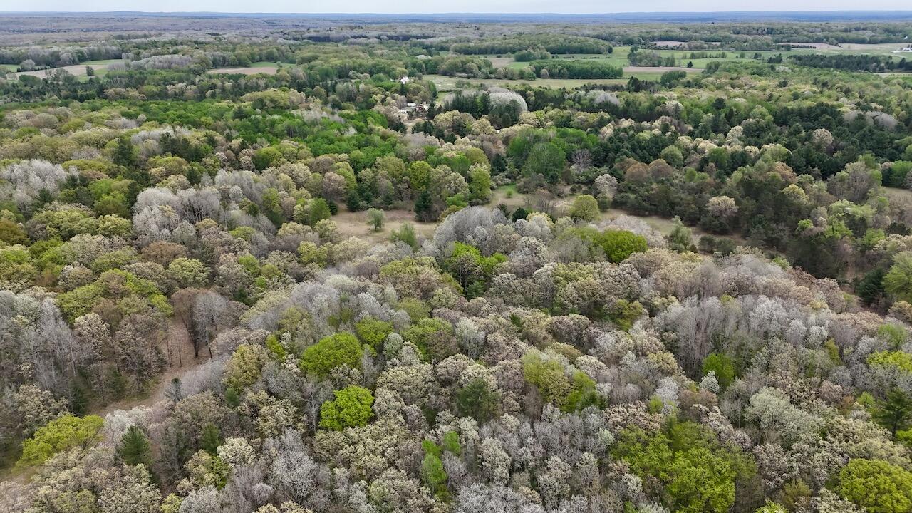 6153 South Branch Road Branch, MI 49402 - Photo 3 of 70 2