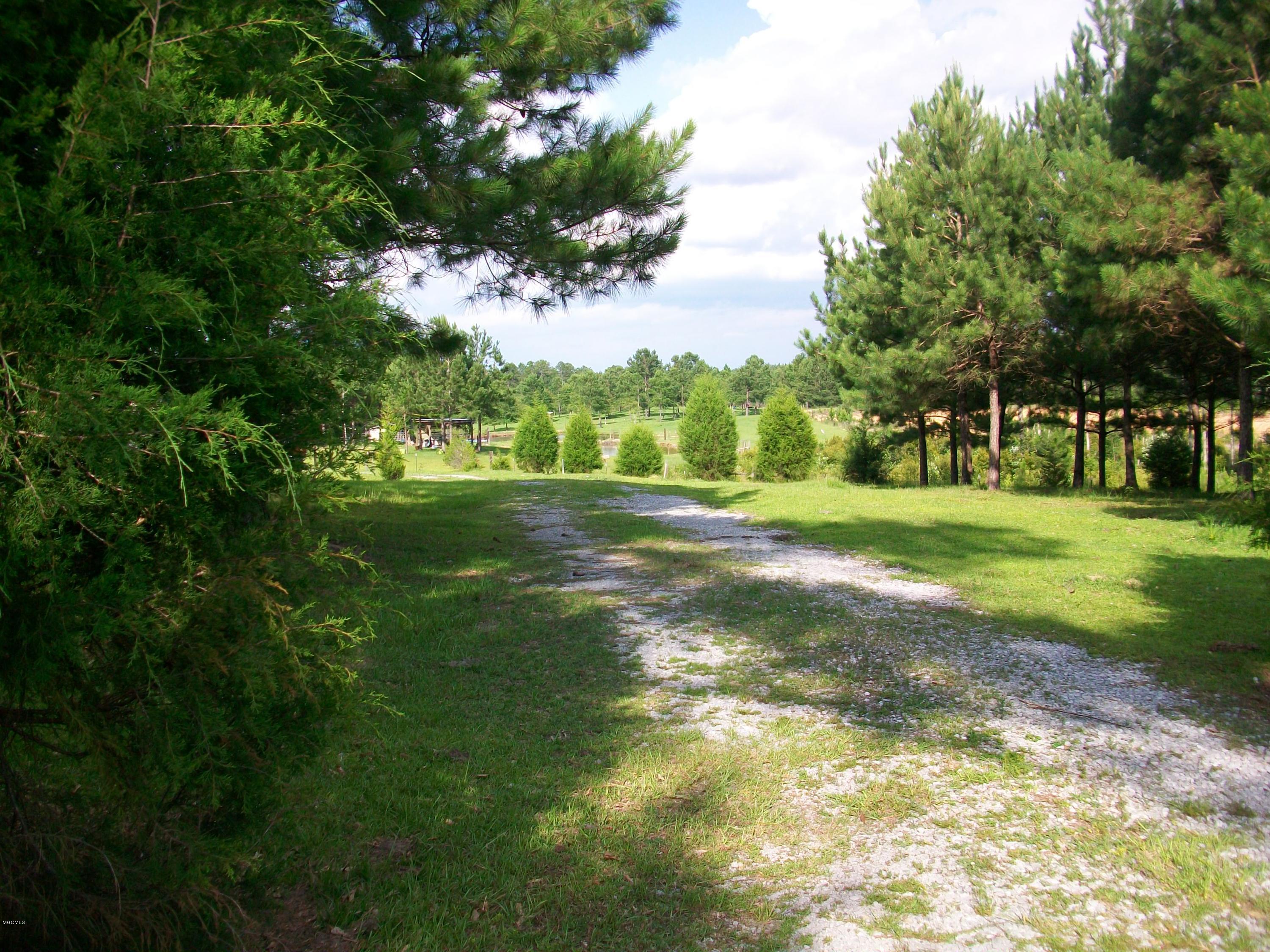 268 City Road Perkinston, MS 39573 - Photo 3 of 17 100_2267