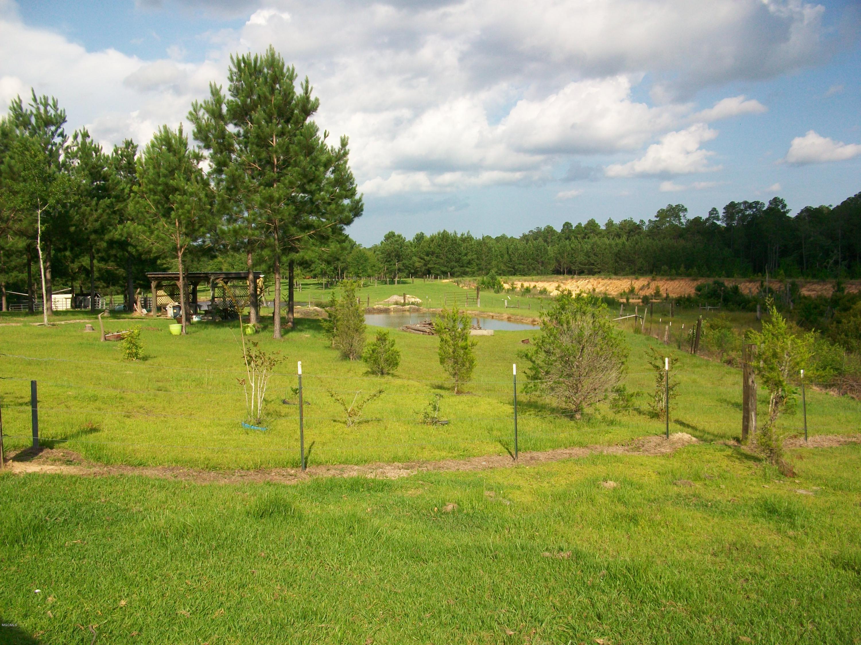 268 City Road Perkinston, MS 39573 - Photo 5 of 17 100_2269