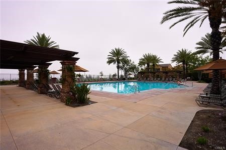 2963 Walking Beam Place Brea, CA 92821 - Photo 24 of 25 a view of a yard with palm trees