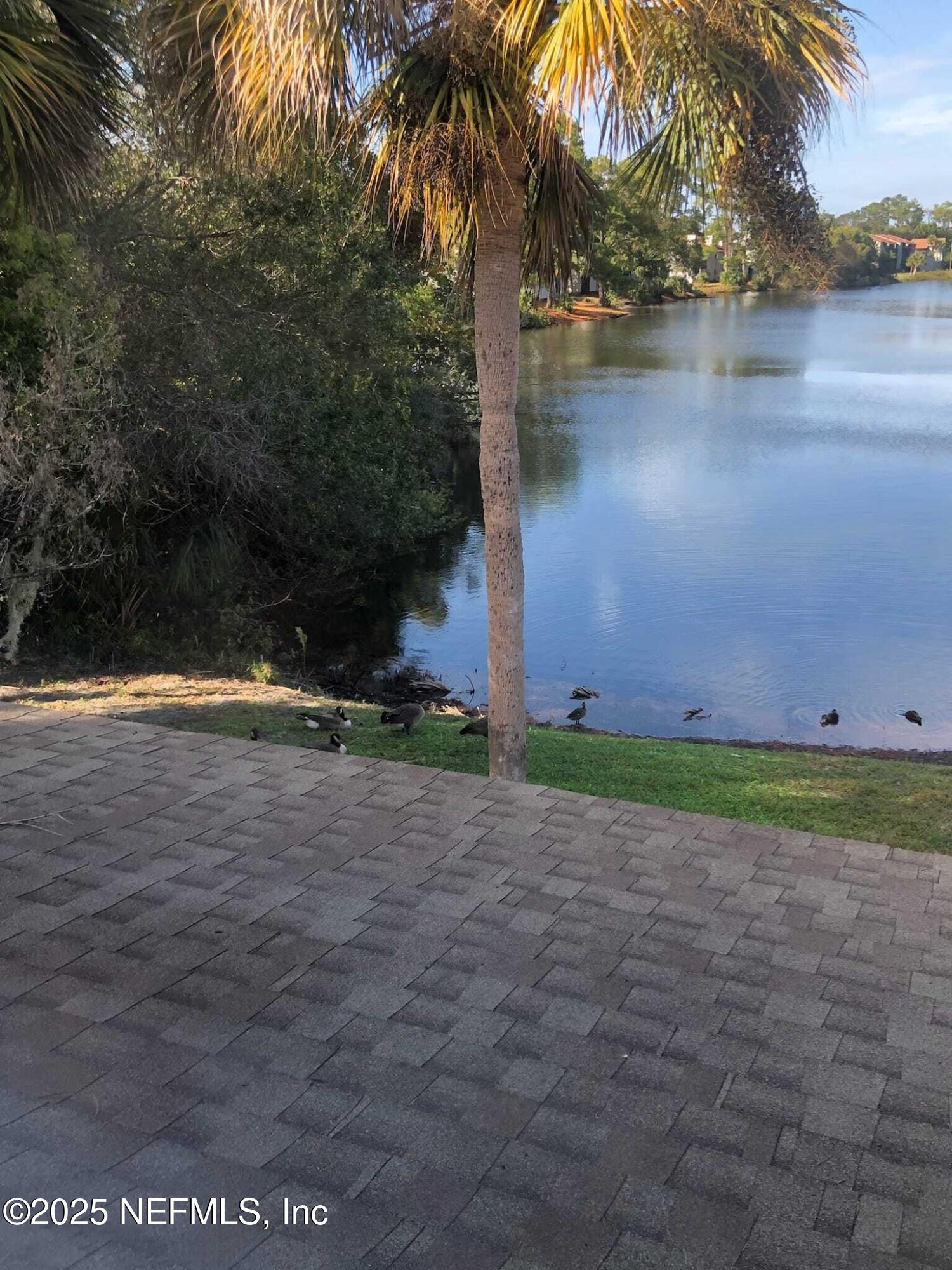 9901 Regency Square Boulevard, Unit 90 Jacksonville, FL 32225 - Photo 21 of 27 a view of a yard in front of a house