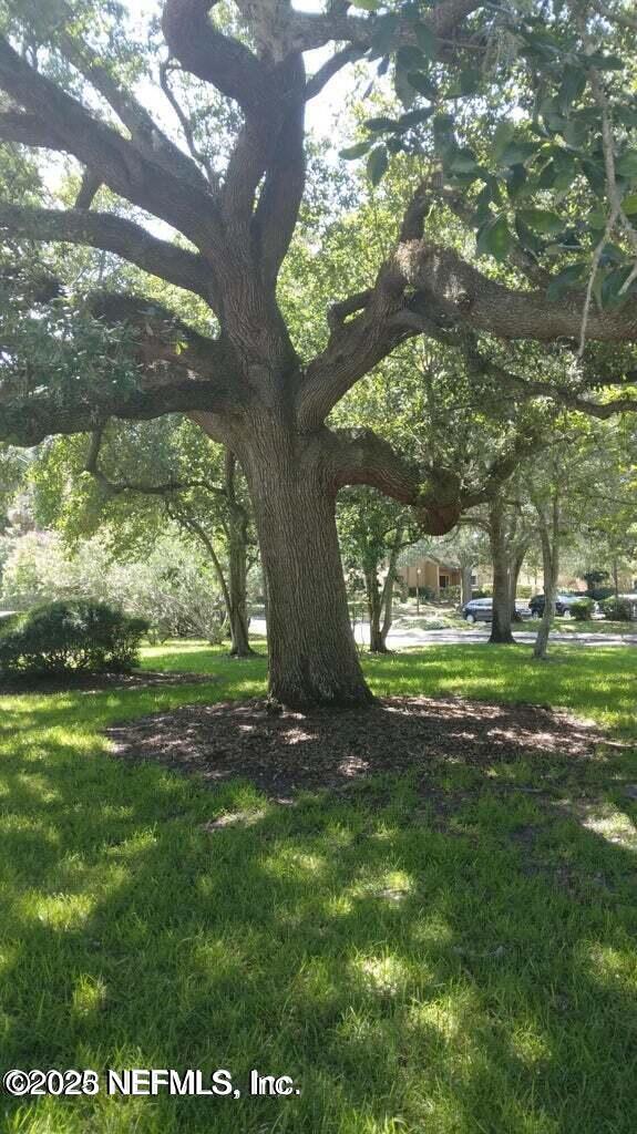 9901 Regency Square Boulevard, Unit 90 Jacksonville, FL 32225 - Photo 25 of 27 a view of a yard