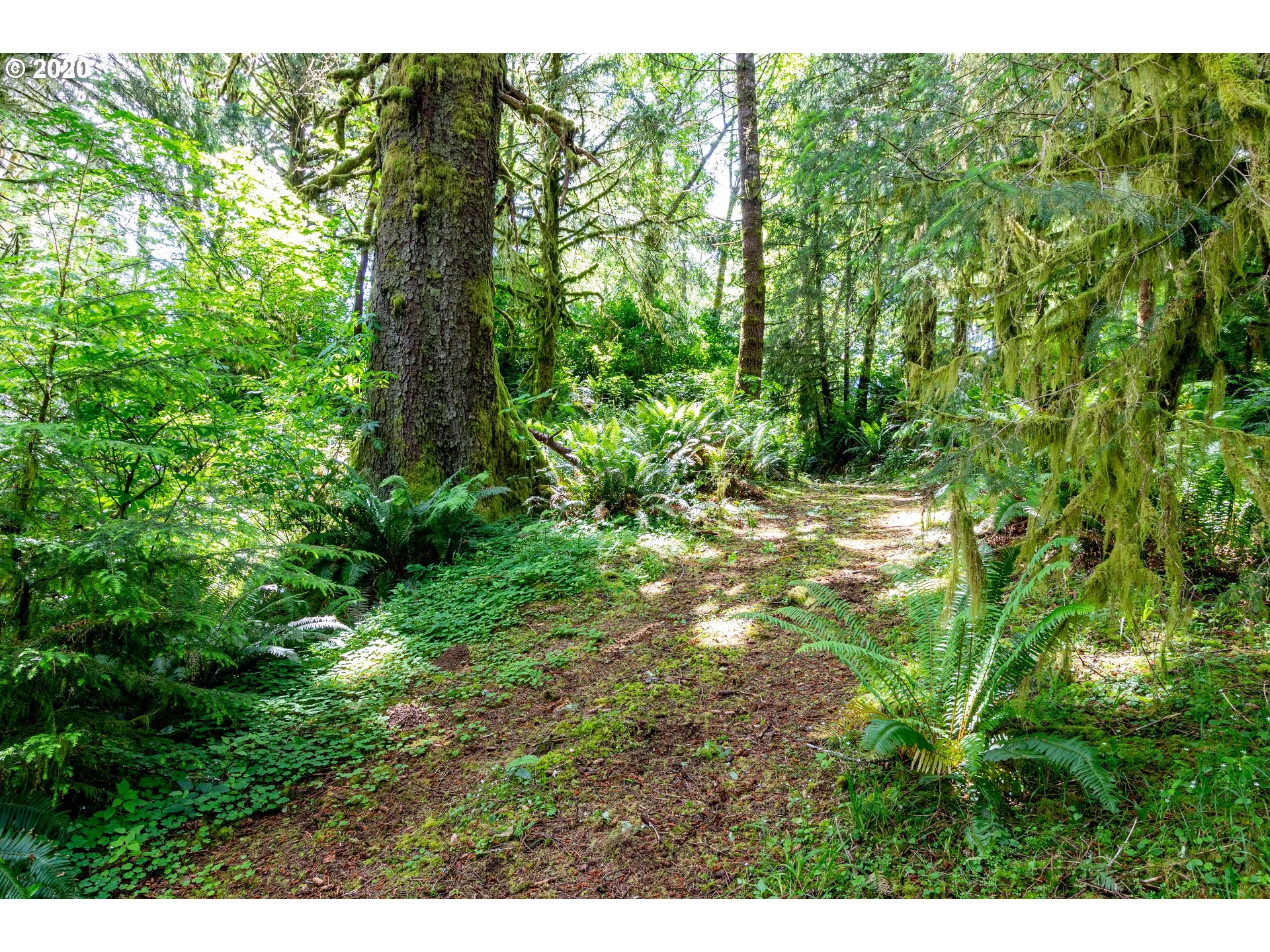 199 Murray Loop Toledo, OR 97391 - Photo 29 of 31 Gallery Image 29