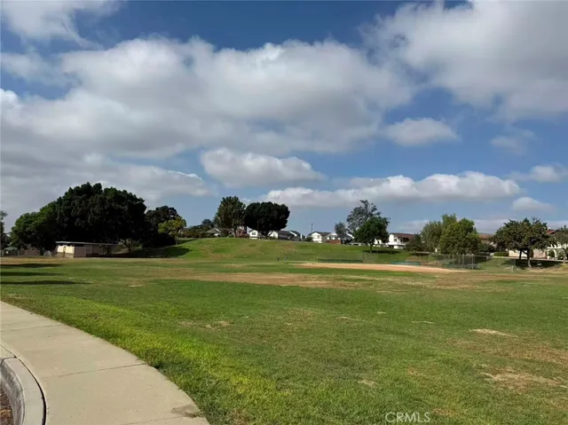 a view of a big yard with a large trees