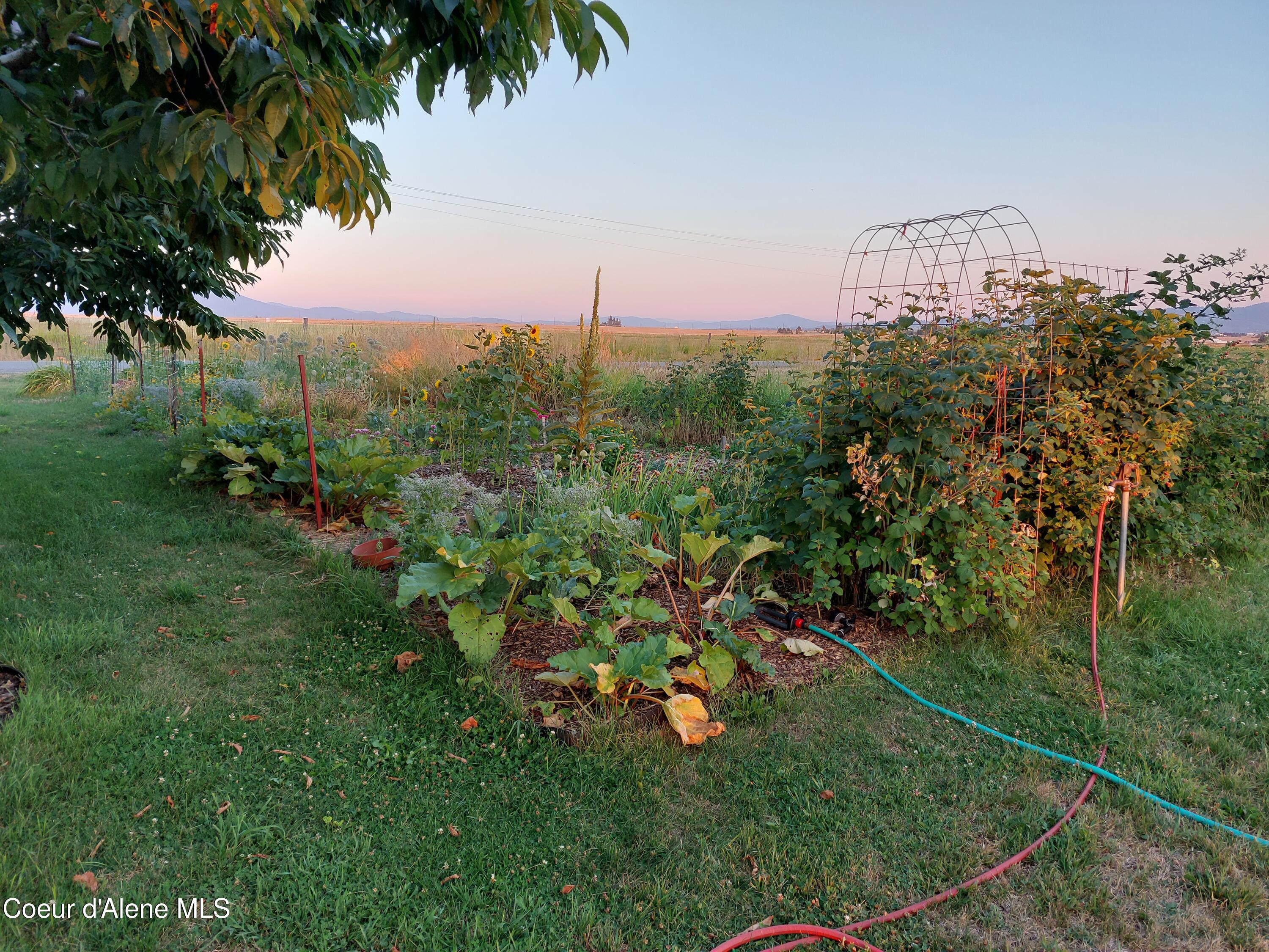 10671 North Idaho Road Post Falls, ID 83854 - Photo 85 of 89 Garden 6