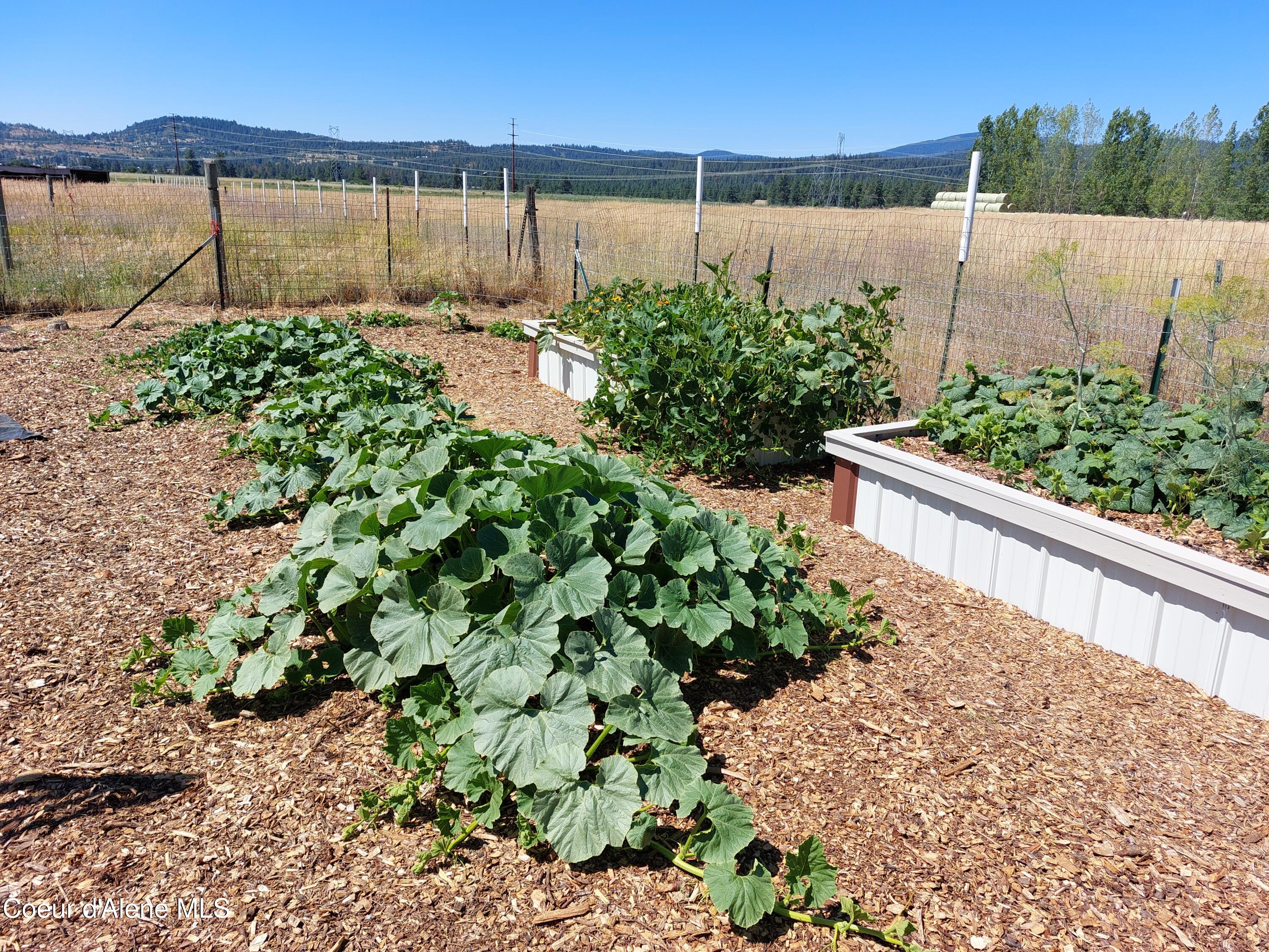 10671 North Idaho Road Post Falls, ID 83854 - Photo 87 of 89 Garden 7
