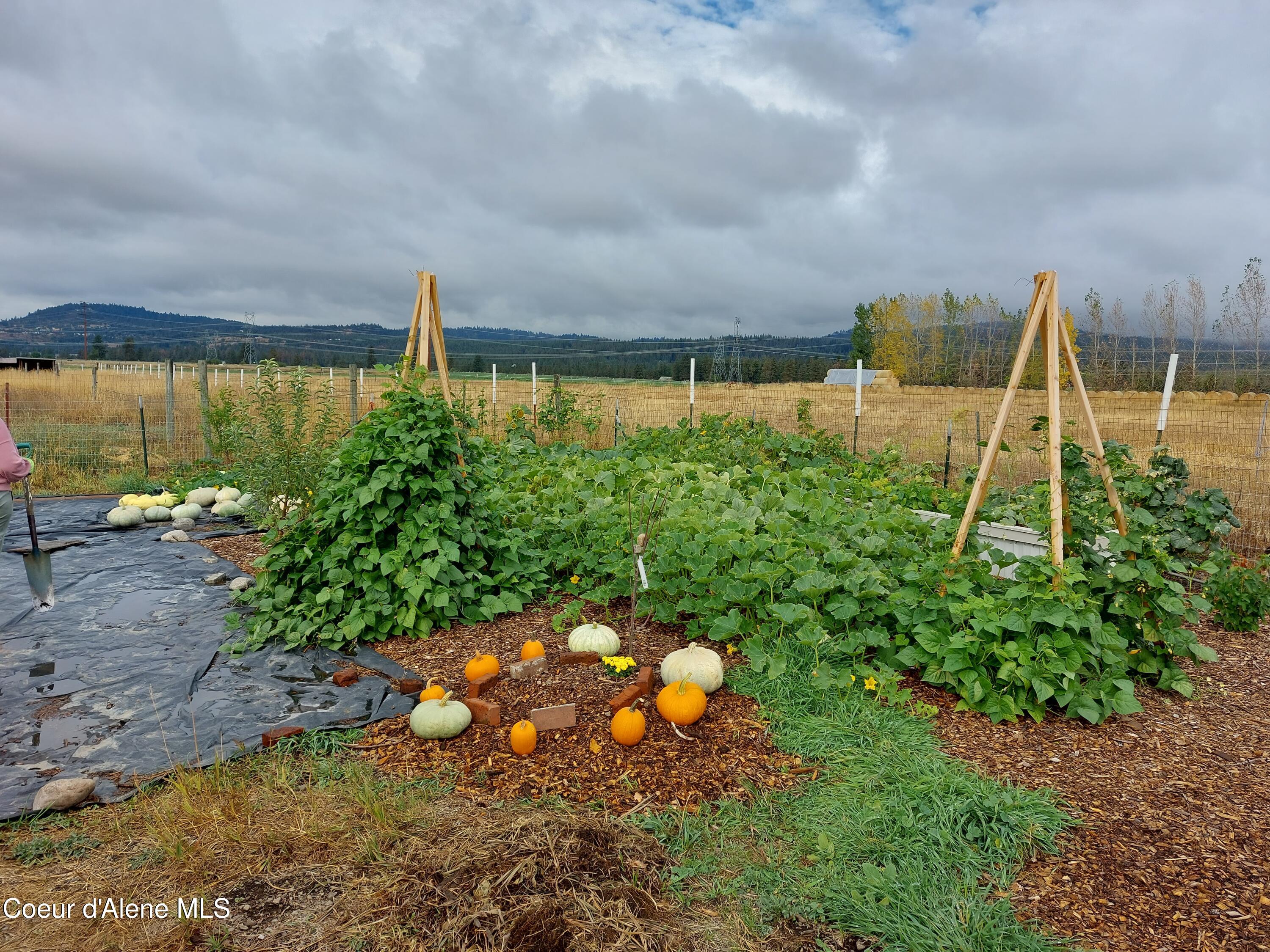 10671 North Idaho Road Post Falls, ID 83854 - Photo 89 of 89 Garden 9