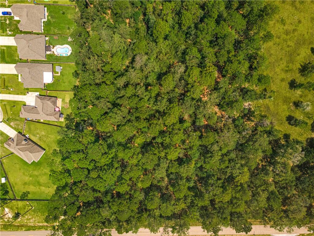 0 Regina Coeli Road Covington, LA 70435 - Photo 6 of 11