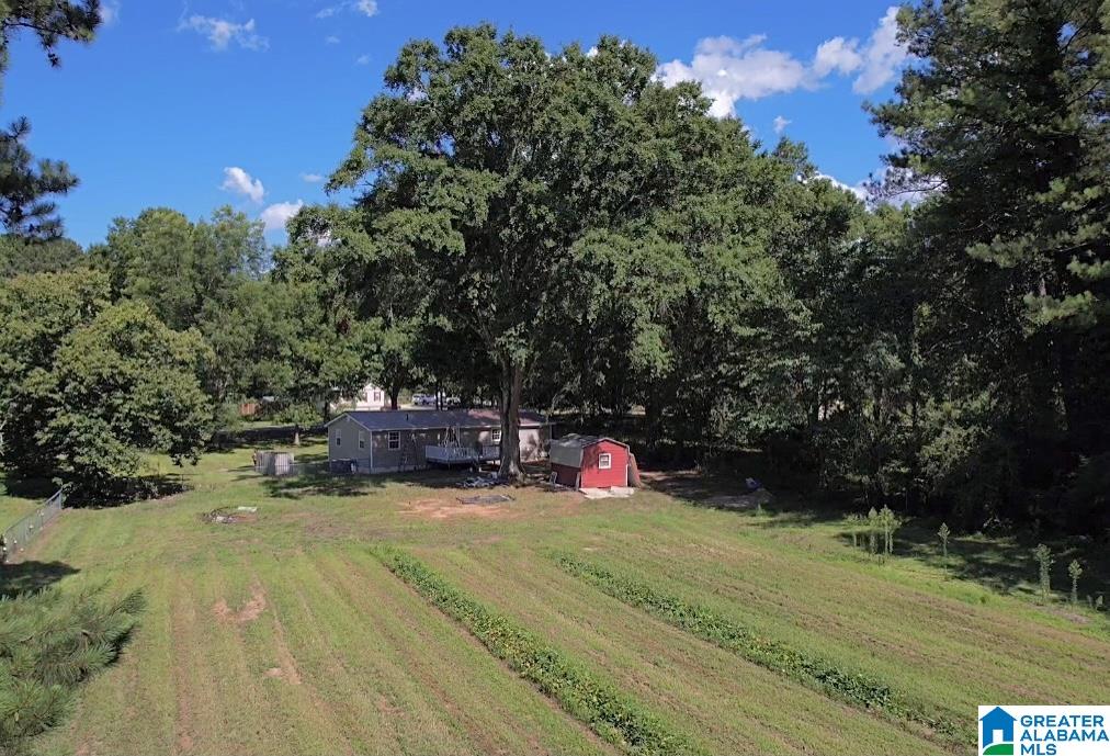 3223 North Mud Creek Road North Adger, AL 35006 - Photo 2 of 26