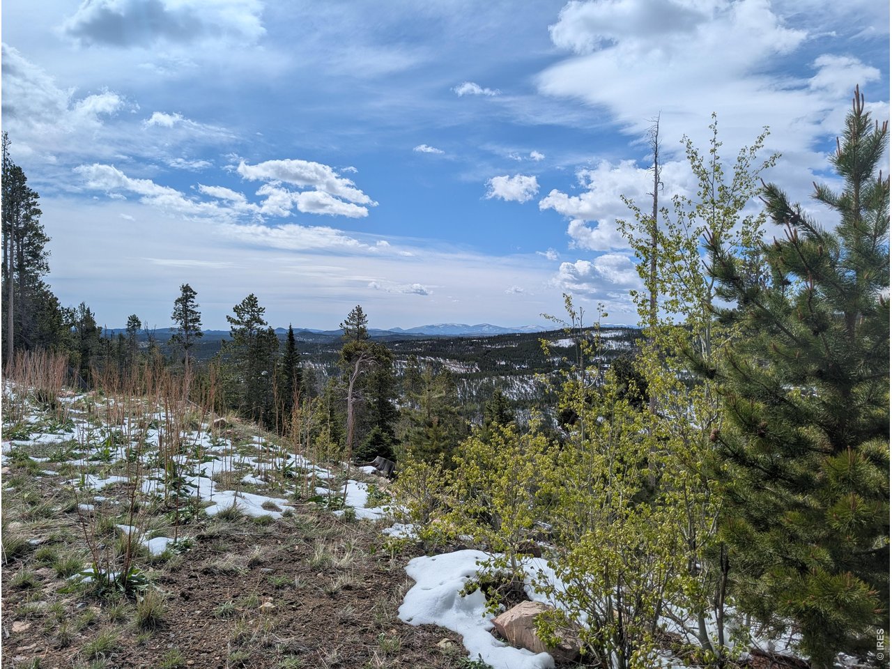 540 Elkridge Road Red Feather Lakes, CO 80545 - Photo 4 of 13