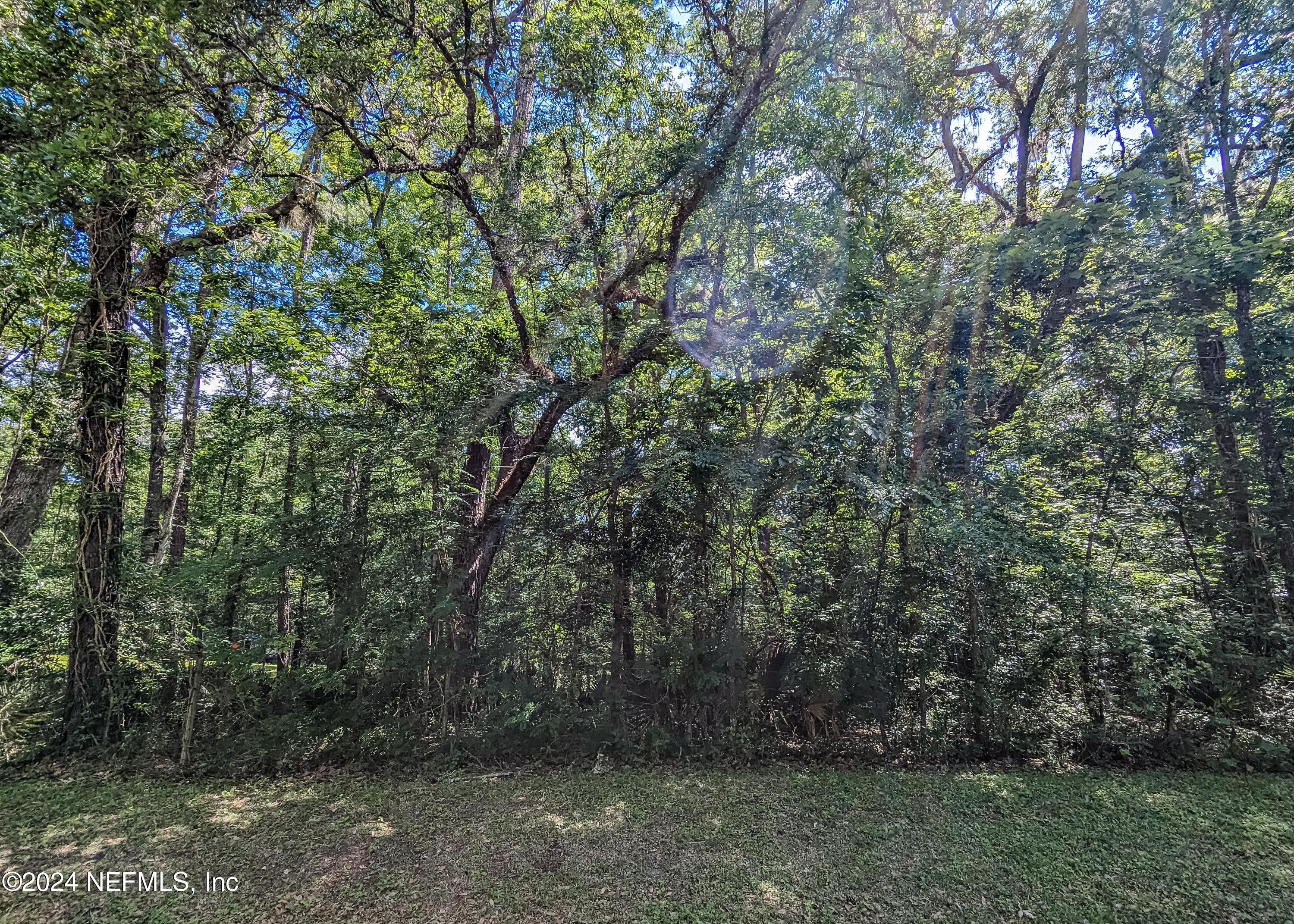 3984 Lazy Acres Road Middleburg, FL 32068 - Photo 7 of 8 3984 LAZY ACRES RD-6