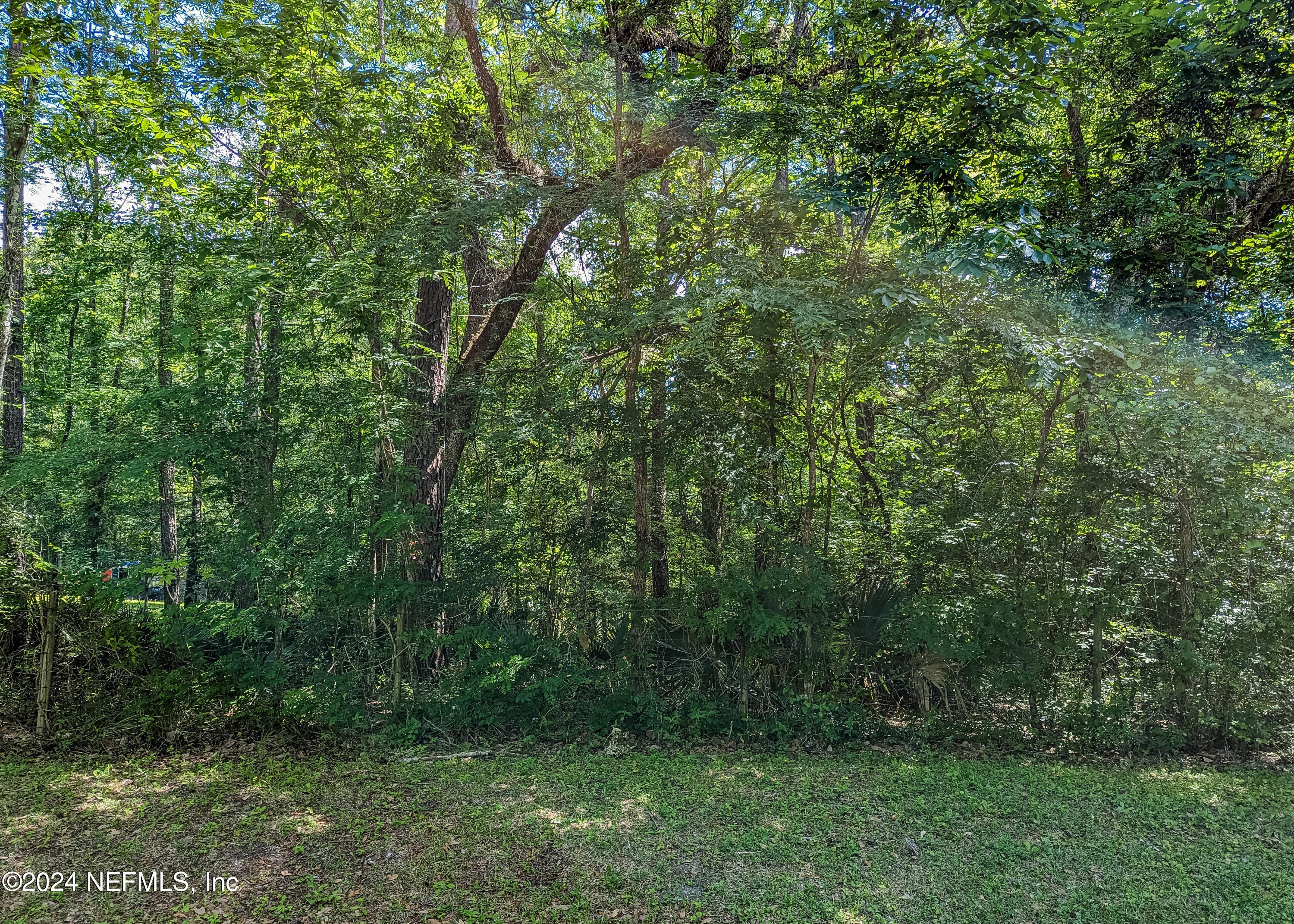 3984 Lazy Acres Road Middleburg, FL 32068 - Photo 8 of 8 3984 LAZY ACRES RD-7