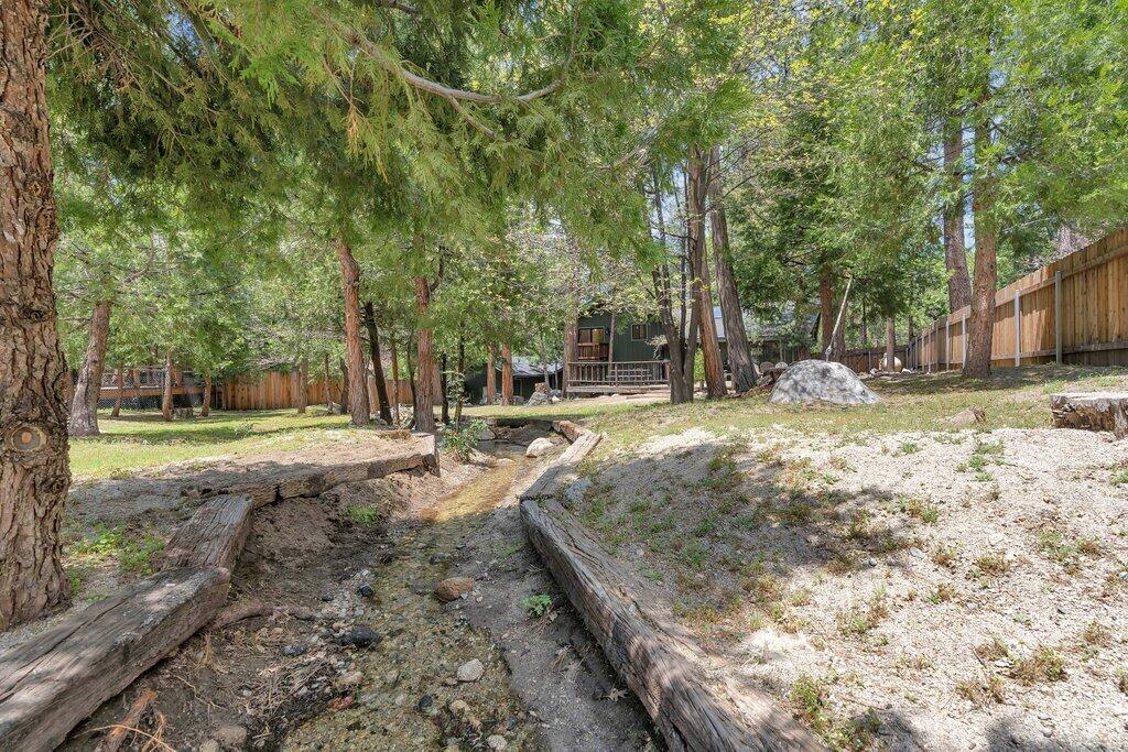 54495 South Circle Drive Idyllwild, CA 92549 - Photo 41 of 65 a view of a yard with a tree