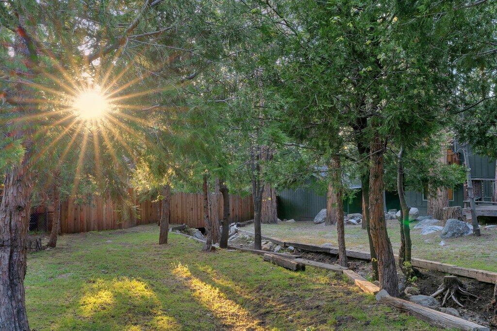 54495 South Circle Drive Idyllwild, CA 92549 - Photo 51 of 65 a view of a backyard with tree