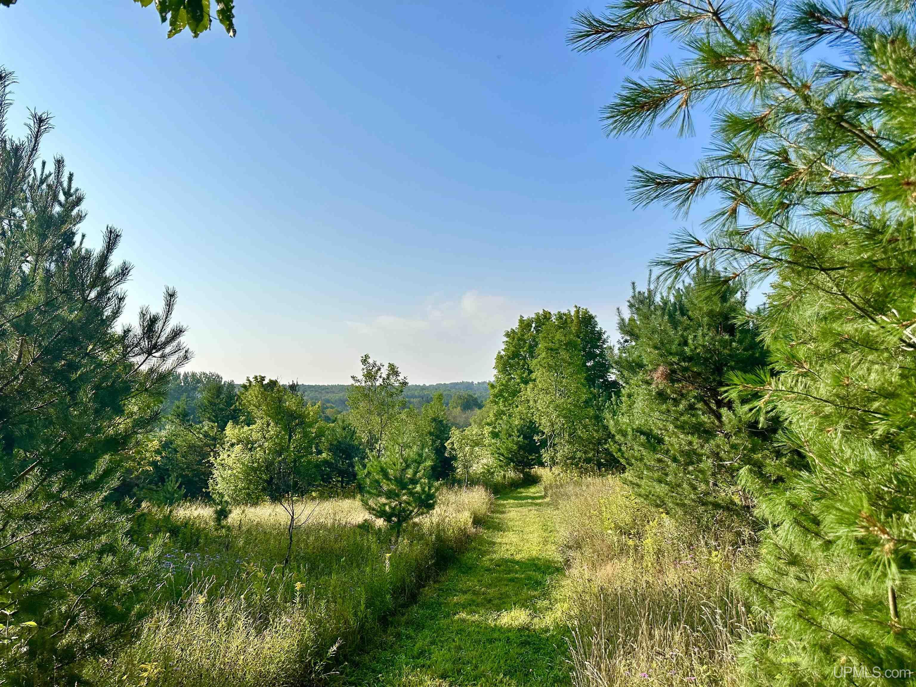 Tbd Crestview Road Ironwood, MI 49938 - Photo 6 of 49
