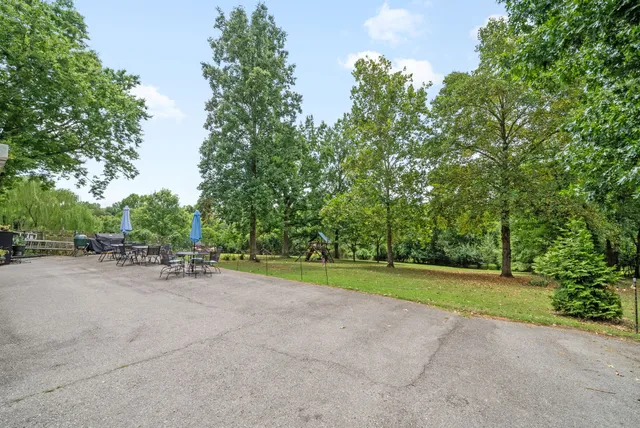 a view of a park with large trees and plants
