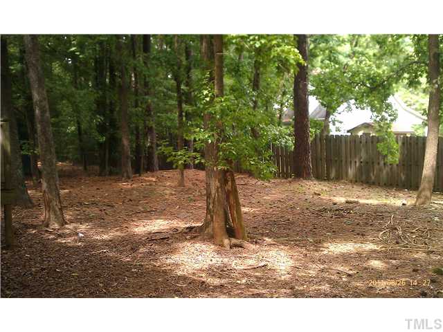 820 Horton Road Durham, NC 27704 - Photo 7 of 7 a view of a backyard