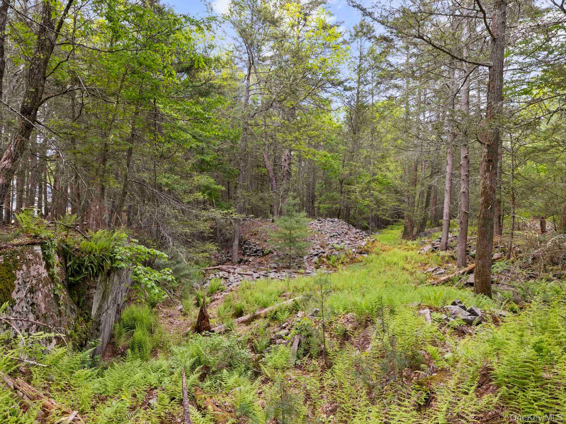 40 Mamoud Hills Road Kingston, NY 12401 - Photo 34 of 42 a view of a forest that has a tree